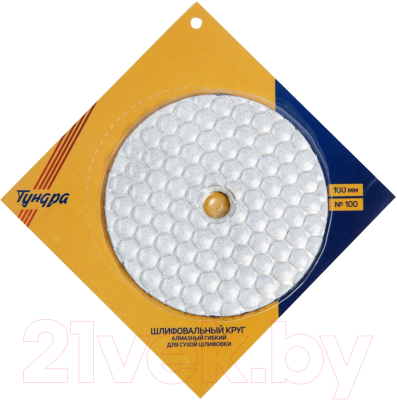 Шлифовальный круг Tundra Черепашка сухая шлифовка 100мм № 100 / 3594932