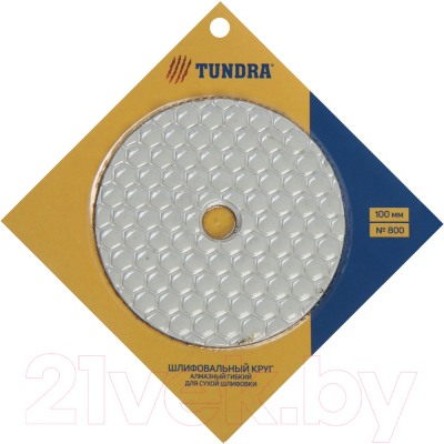 Шлифовальный круг Tundra Черепашка сухая шлифовка 100мм № 800 / 3594935