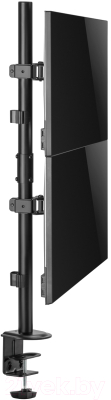 Кронштейн для монитора Ergosmart Double Decker