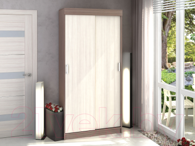 Шкаф-купе Столица Мебели Евро