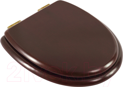 Сиденье для унитаза Cezares CZR-T-166-W-S-BR - фото