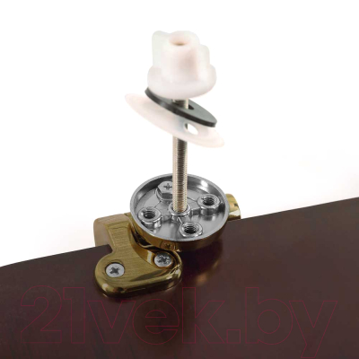 Сиденье для унитаза Cezares CZR-T-166-W-S-BR