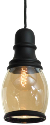 Потолочный светильник Lussole Loft LSP-9690