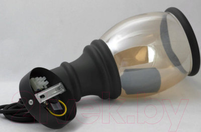 Потолочный светильник Lussole Loft LSP-9690