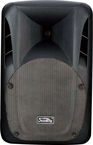 Сценический монитор Soundking FPD15AD - фото