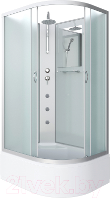 Душевая кабина Niagara NG-2310-14LBKTG 120x80x200 - фото