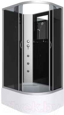 Душевая кабина Niagara NG-2510-14LBKG 120x80x215 - фото