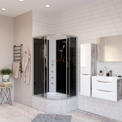 Душевая кабина Niagara NG-2510-14LBKG 120x80x215