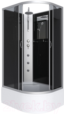 Душевая кабина Niagara NG-2510-14LBKTG 120x80x215 - фото