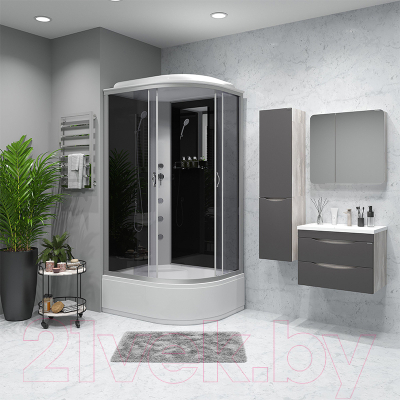 Душевая кабина Niagara NG-2510-14LG 120x80x215