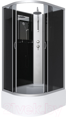 Душевая кабина Niagara NG-2510-14RBKT 120x80x215 - фото