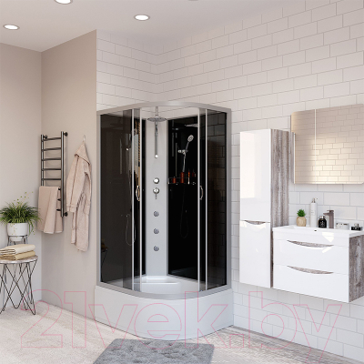 Душевая кабина Niagara NG-2510-14RBKTG 120x80x215