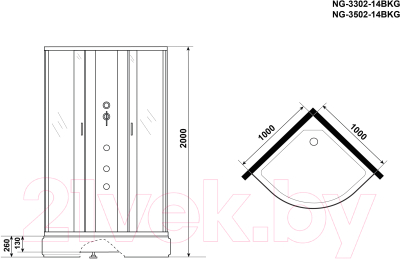 Душевая кабина Niagara NG-3302-14BKG 100x100x200