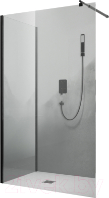 Душевой уголок RGW WA-005-1B / 351005128-14 - фото