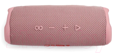 Портативная колонка JBL Flip 6