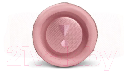 Портативная колонка JBL Flip 6