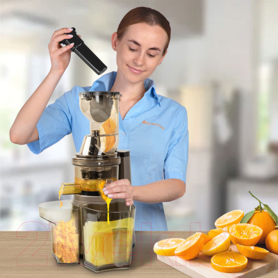 Соковыжималка электрическая Endever Sigma 101