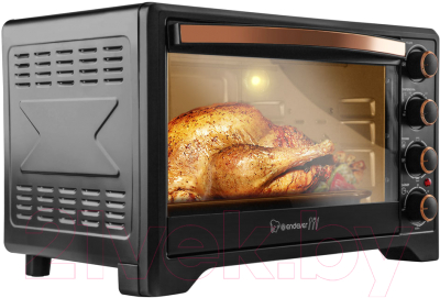 Ростер Endever Danko 4036