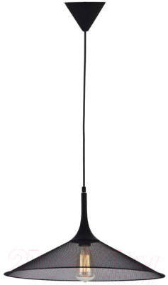 Потолочный светильник Lussole Loft LSP-9813 - фото