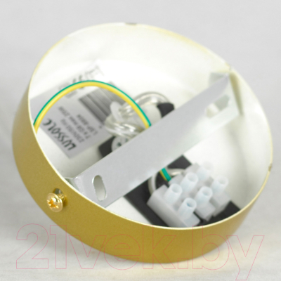 Люстра Lussole LSP-8804