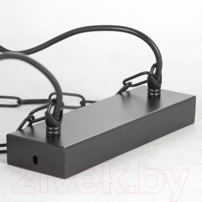 Потолочный светильник Lussole LSP-8799