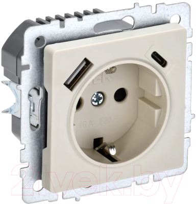 Розетка IEK Brite BR-R14-16-U22-018-K10 - фото