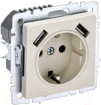 Розетка IEK Brite BR-R14-16-U21-D31-K10 - фото