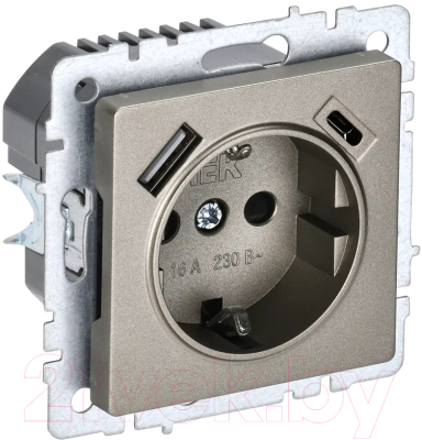 Розетка IEK Brite BR-R14-16-U22-018-K37 - фото