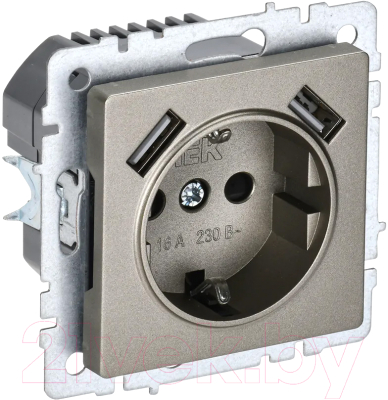 Розетка IEK Brite BR-R14-16-U21-D21-K37 - фото