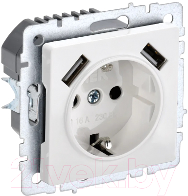 Розетка IEK Brite BR-R14-16-U21-D21-K01 - фото