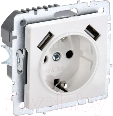 Розетка IEK Brite BR-R14-16-U21-D31-K01 - фото