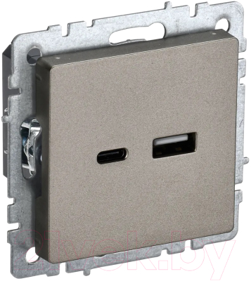 Розетка IEK Brite BR-U22-018-K37 - фото