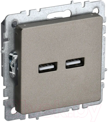 Розетка IEK Brite BR-U21-D31-K37 - фото