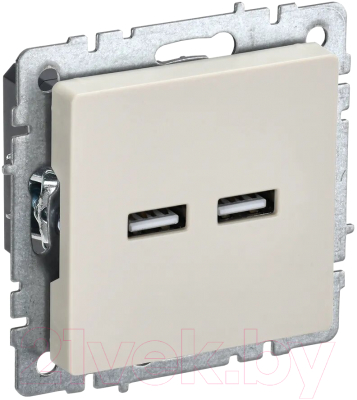 Розетка IEK Brite BR-U21-D31-K10 - фото