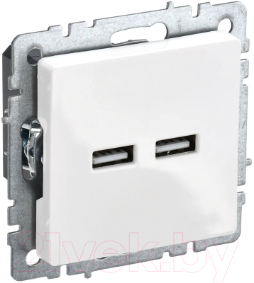 Розетка IEK Brite BR-U21-D31-K01 - фото