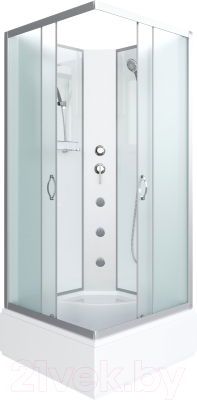 Душевая кабина Niagara NG-1108-14BKG 90x90x200 с полкой - фото