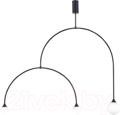 Потолочный светильник ST Luce SL1187.403.03 (черный/белый) - фото