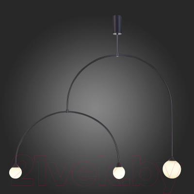 Потолочный светильник ST Luce SL1187.403.03 (черный/белый)