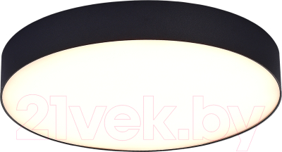 Потолочный светильник ST Luce ST606.432.48 - фото