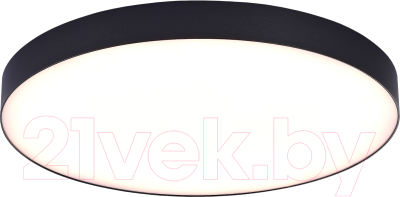 Потолочный светильник ST Luce ST606.432.96 - фото