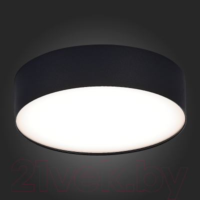 Потолочный светильник ST Luce ST606.442.27 (черный)