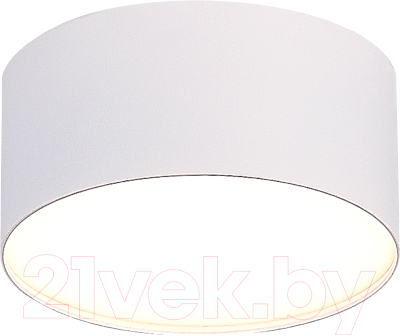 Потолочный светильник ST Luce ST606.532.12 - фото