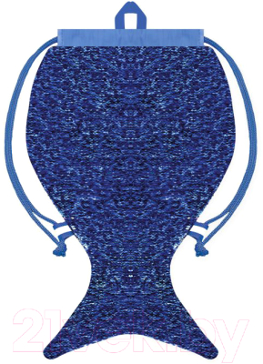 Мешок для экипировки Феникс+ 48818 (синий/серебристый) - фото