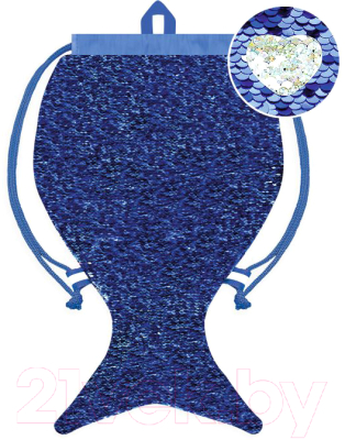 Мешок для экипировки Феникс+ 48818 (синий/серебристый)