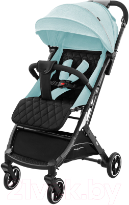 Детская прогулочная коляска INDIGO Onyx - фото