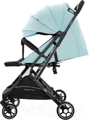 Детская прогулочная коляска INDIGO Onyx