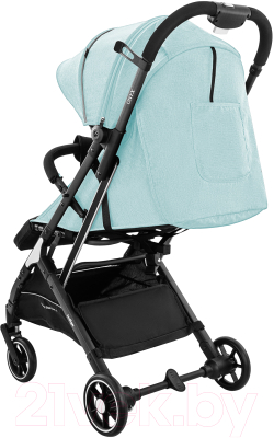 Детская прогулочная коляска INDIGO Onyx