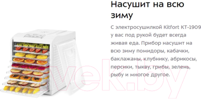 Сушилка для овощей и фруктов Kitfort KT-1909