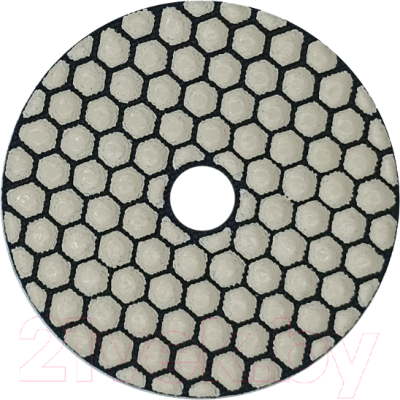 Шлифовальный круг Trio Diamond 339003 - фото