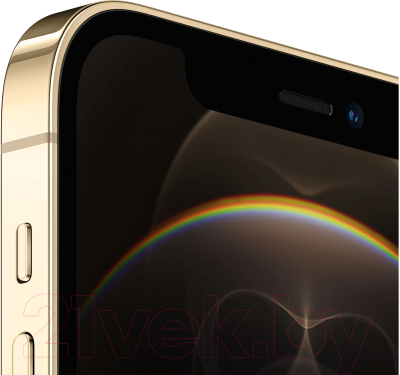 Смартфон Apple iPhone 12 Pro 256GB / 2AMGMR3 восстановленный Breezy Грейд A